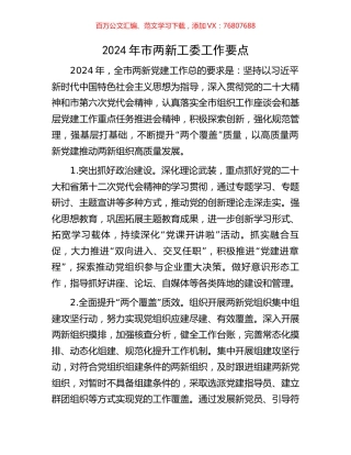 2024年市两新工委工作要点.docx