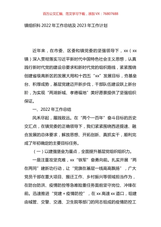 镇党建办2022年工作总结及2023年工作计划.docx