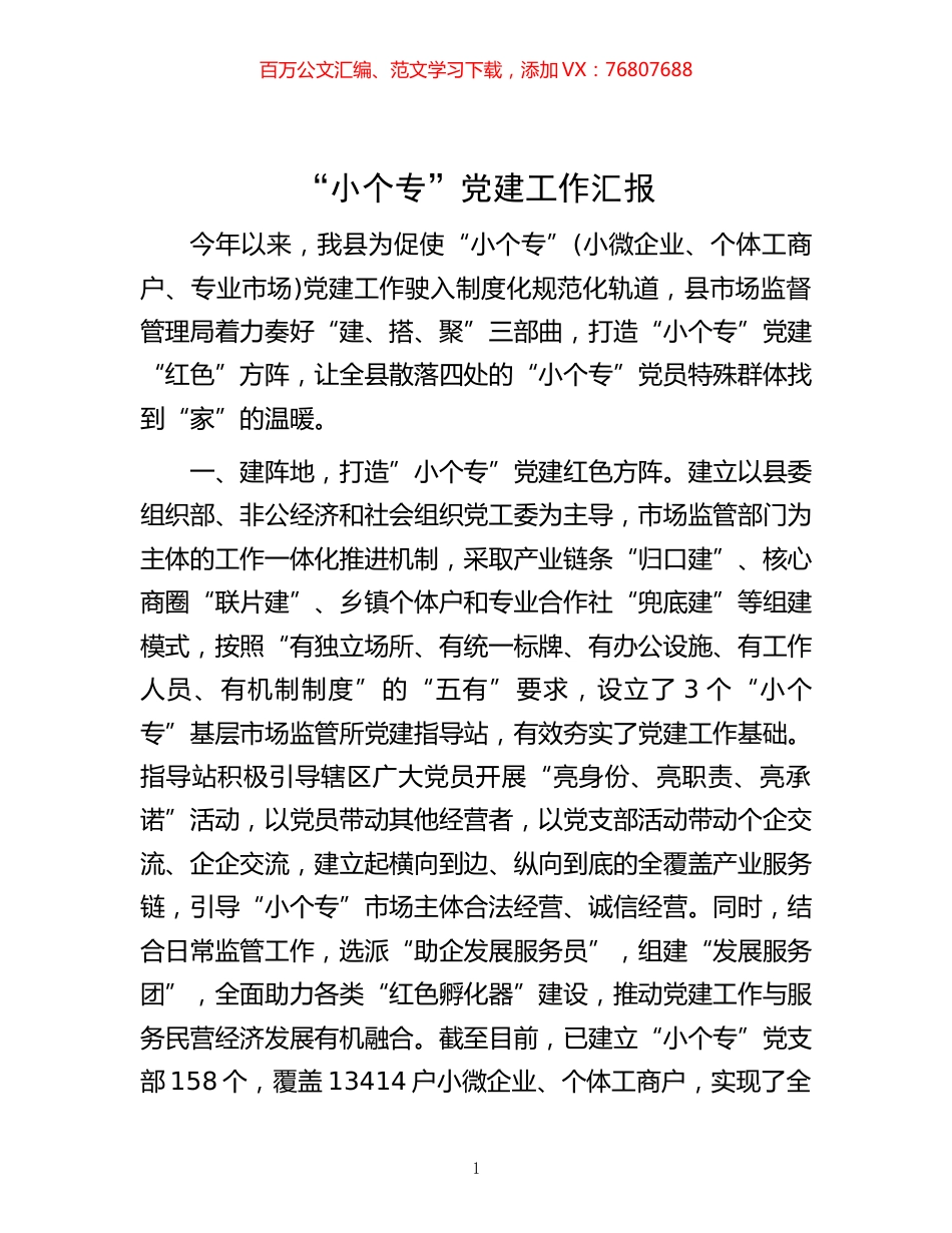 -“小个专”党建工作汇报.docx_第1页