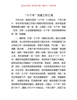 -“小个专”党建工作汇报.docx