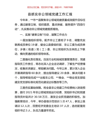 县抓实非公领域党建工作汇报.docx
