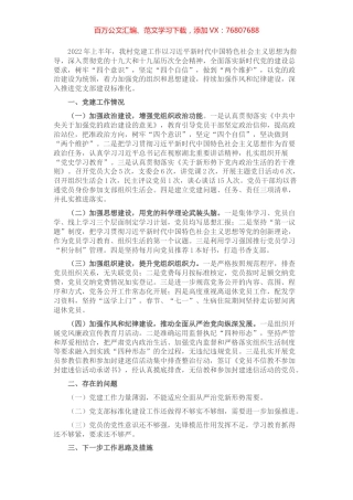 村党支部2022年上半年工作总结.docx