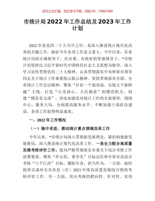 市统计局2022年工作总结及2023年工作计划.docx