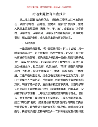 街道主题教育自查报告.docx