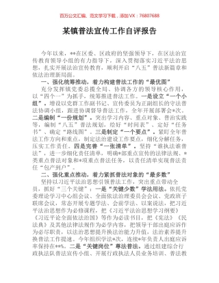 某镇普法宣传工作自评报告.docx