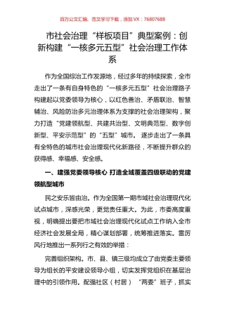市社会治理“样板项目”典型案例：创新构建“一核多元五型”社会治理工作体系.docx