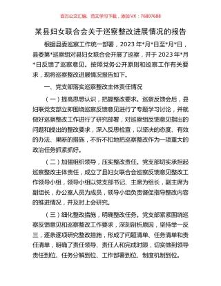 某县妇女联合会关于巡察整改进展情况的报告.docx