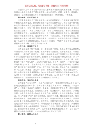 县抓党建促乡村振兴工作纪实.docx