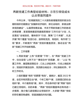 两新党建工作典型经验材料：示范引领促成长以点带面同提升.docx