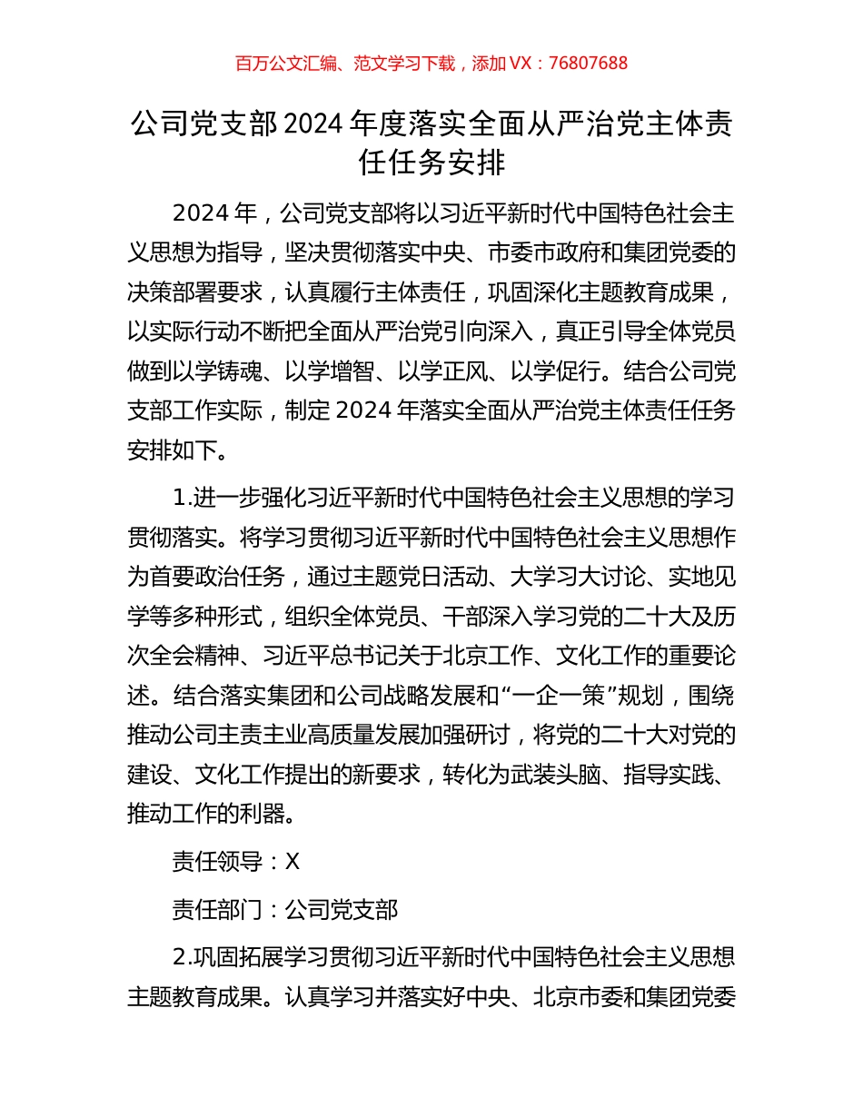 公司党支部2024年度落实全面从严治党主体责任任务安排.docx_第1页