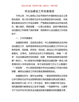 市法治建设工作自查报告.docx
