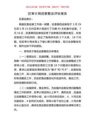 区审计局巡察整改评估报告.docx