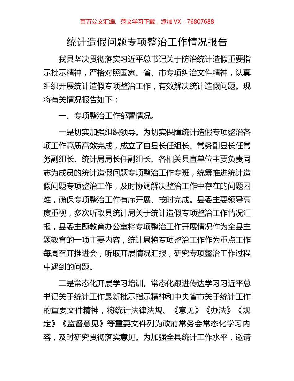 统计造假问题专项整治工作情况报告.docx_第1页