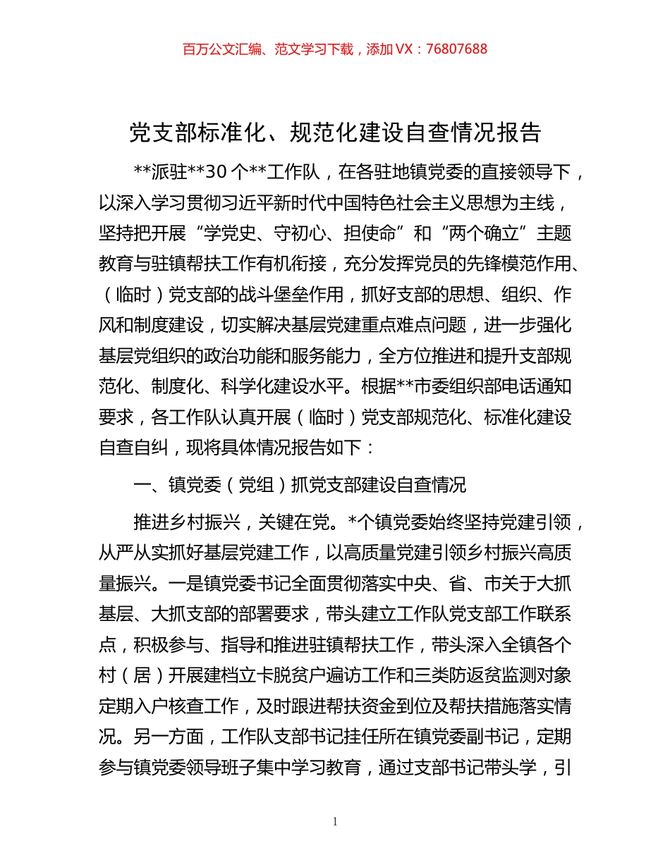 -党支部标准化、规范化建设自查情况报告.docx_第1页