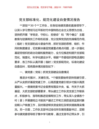 -党支部标准化、规范化建设自查情况报告.docx
