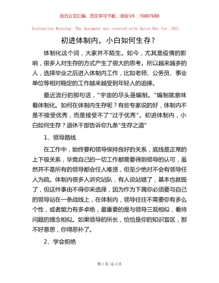 初进体制内，小白如何生存？.docx