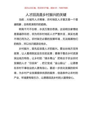 人才回流是乡村振兴的关键.docx