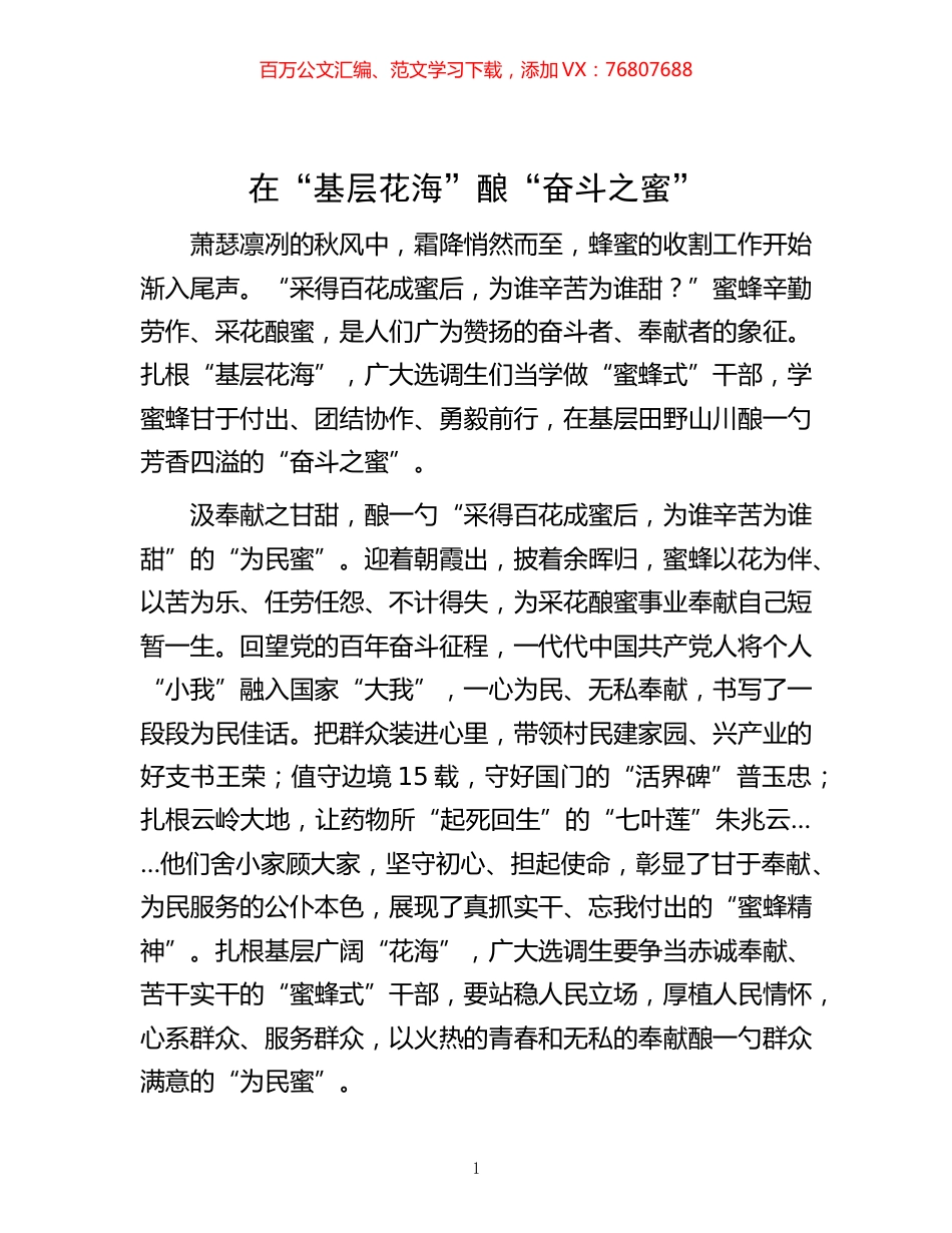 基层花海”酿“奋斗之蜜”.docx_第1页