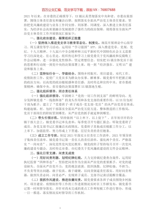 镇关于落实全面从严治党主体责任工作情况的报告.docx
