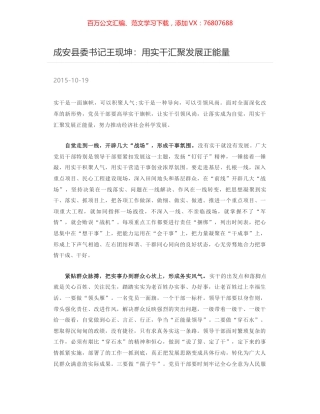 成安县委书记王现坤：用实干汇聚发展正能量.docx
