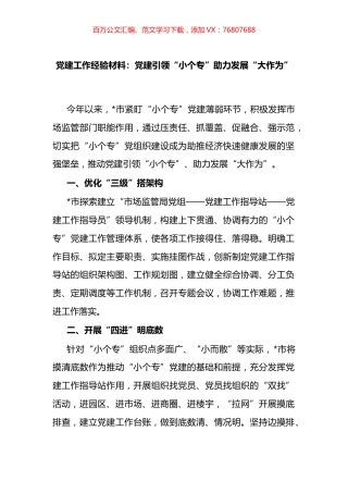 党建工作经验材料：党建引领“小个专”助力发展“大作为”.docx
