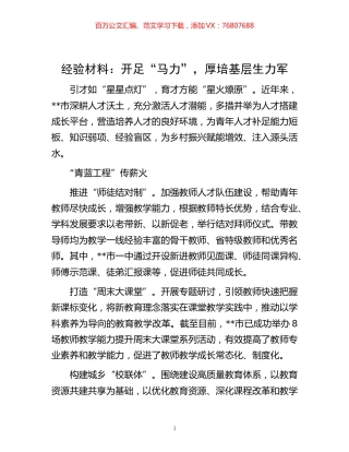 -材料：开足“马力”，厚培基层生力军.docx