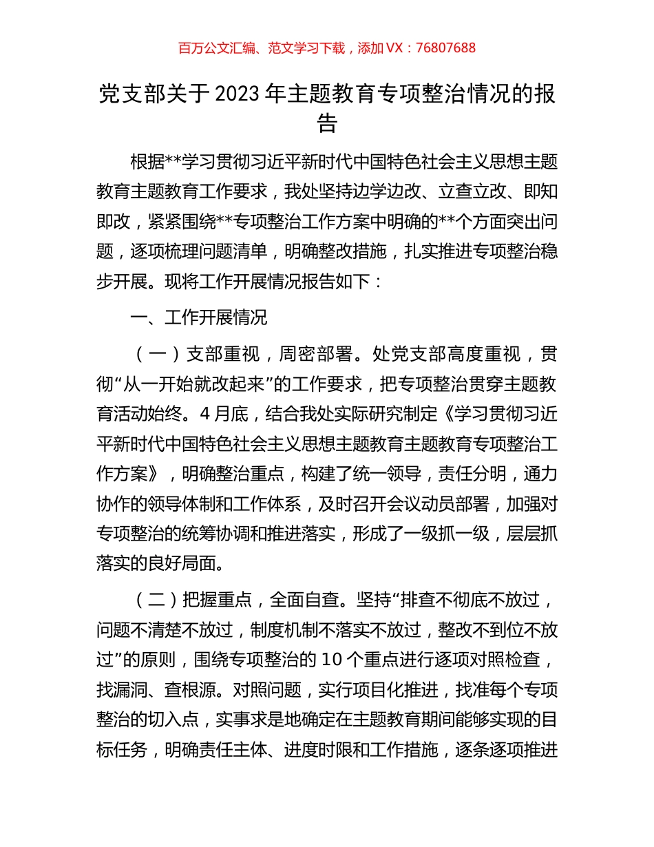 党支部关于2023年主题教育专项整治情况的报告.docx_第1页