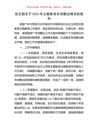 党支部关于2023年主题教育专项整治情况的报告.docx