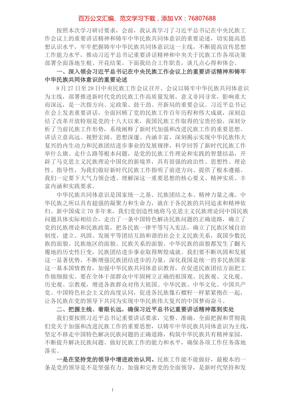 中央民族工作研讨材料.docx_第1页