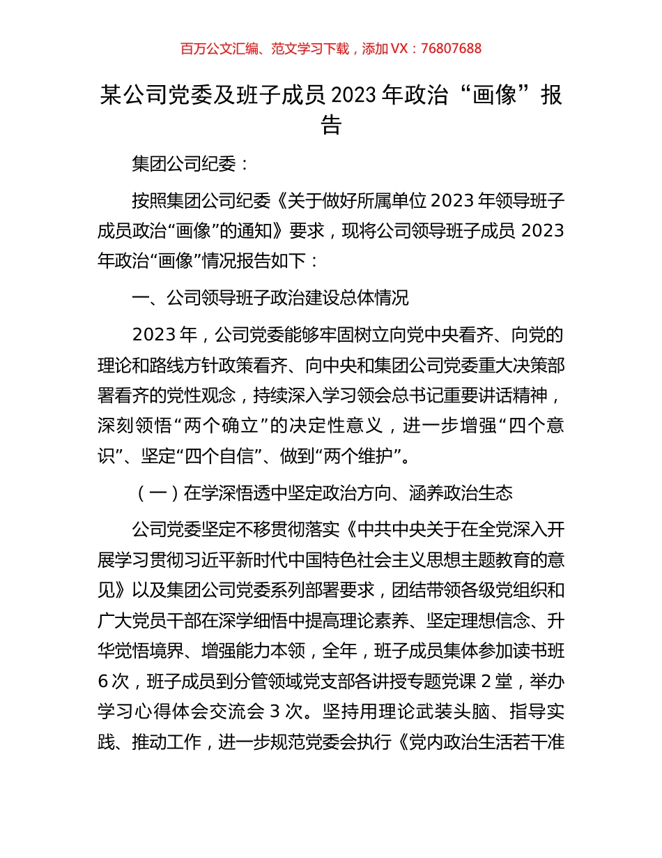 某公司党委及班子成员2023年政治“画像”报告.docx_第1页