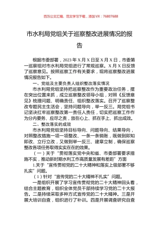 市水利局党组关于巡察整改进展情况的报告.docx