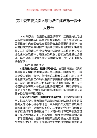 党工委主要负责人履行法治建设第一责任人报告.docx
