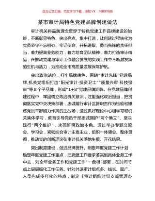 某市审计局特色党建品牌创建做法.docx