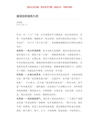基层挂职锻炼九思.docx