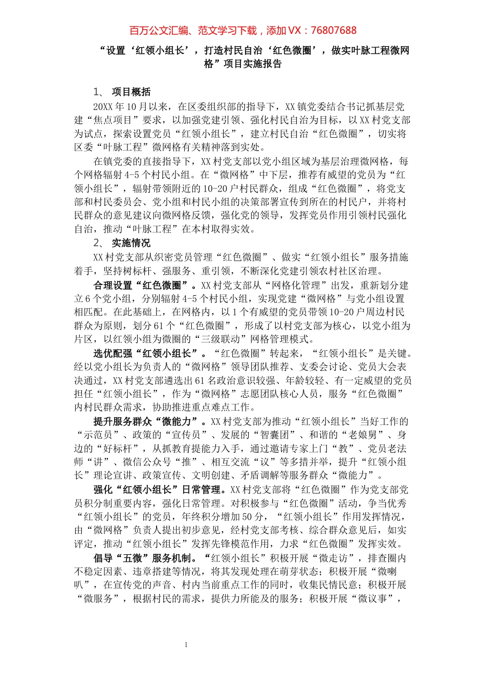 XX村党建项目实施报告​​​​​​​​​​​​​​​​​​.docx_第1页