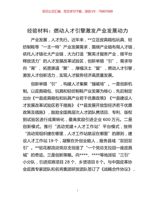 -经验材料：燃动人才引擎 激发产业发展动力.docx