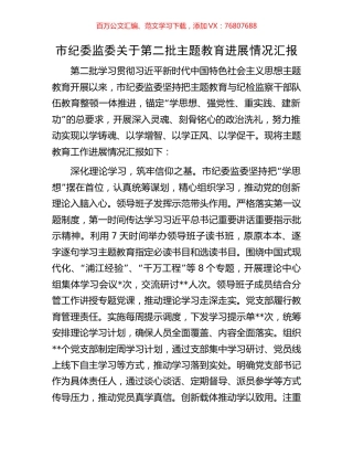 市纪委监委关于第二批主题教育进展情况汇报.docx