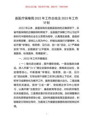 -县医疗保障局2022年工作总结及2023年工作计划.docx