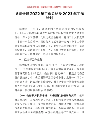 县审计局2022年工作总结及2023年工作计划.docx