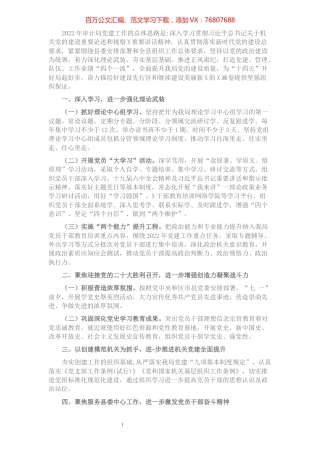 2022年审计局党建工作要点.docx