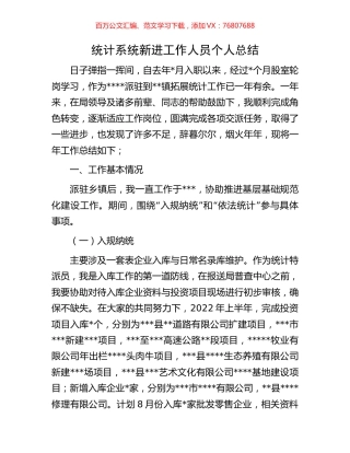 统计系统新进工作人员个人总结.docx