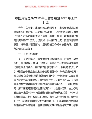 -市投资促进局2022年工作总结暨2023年工作计划.docx
