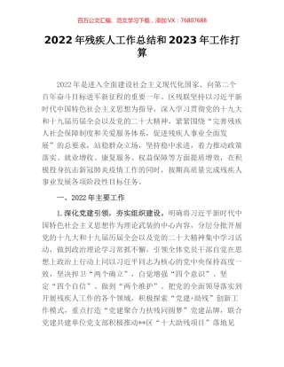2022年残疾人工作总结和2023年工作打算.docx