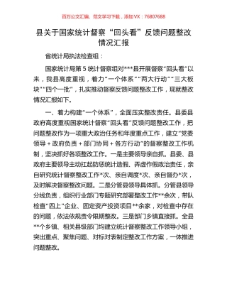 县关于国家统计督察“回头看”反馈问题整改情况汇报.docx