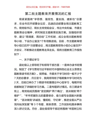 第二批主题教育开展情况的汇报.docx