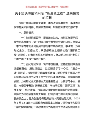 关于坚决防范和纠治“新形象工程”进展情况的汇报.docx