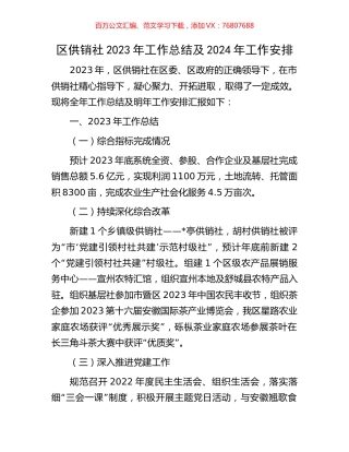 区供销社2023年工作总结及2024年工作安排.docx