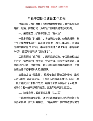 -年轻干部队伍建设工作汇报.docx