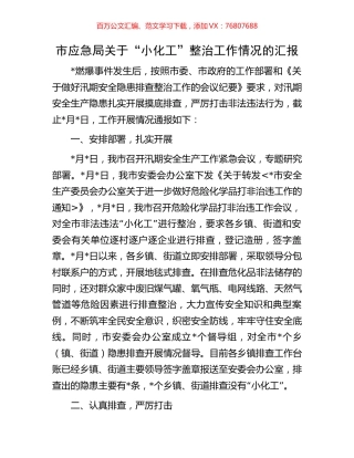 市应急局关于“小化工”整治工作情况的汇报.docx
