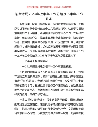 某审计局2023年上半年工作总结及下半年工作计划.docx